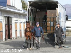 晴天のもと、馬運車を降りるワールドエース