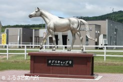 優駿メモリアルパークに建立されたオグリキャップの馬像