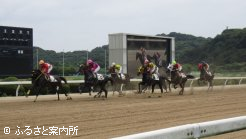 レースの様子(１週目)