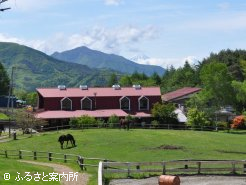 彼方に富士山を望む小須田牧場の風景