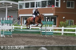 ダートグレード競走2勝のオースミイチバン