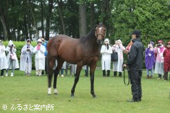 ジャスタウェイの登場ではどよめきが起きた