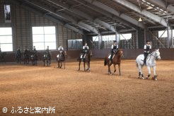 研修所屋内馬場で行われた騎乗供覧