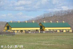 黄色と緑の配色が印象的な明治牧場の厩舎