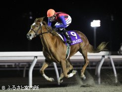 直線で鋭く抜け出したユヅルノオンガエシ