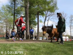 馬たちもランナーを応援