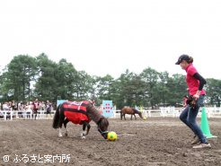 安定したボールキープで会場を盛り上げるチッチ