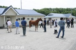 平取町で行われた育成管理品評会