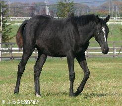 ゴールドデイ2008～3