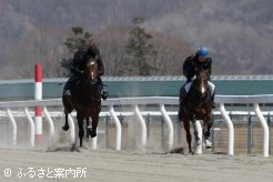 本番さながらの走りを披露した騎乗供覧