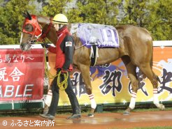 450kgの馬体重で出走した