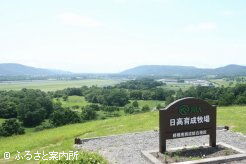 見晴台からの絶景