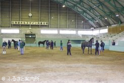 検査会場となった北海道ホルスタイン協会家畜市場