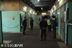 生産者、市場関係者へ挨拶する石丸睦樹JRA日高育成牧場業務課長
