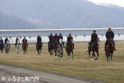 広大なグラス馬場で、息のあった騎乗を見せた