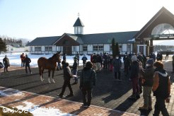 約50人が8か所の種馬場で新種牡馬を視察した
