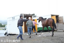 検査を終えると馬主が預託する育成牧場行きの馬運車へ乗り込んだ