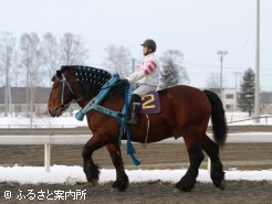 ばんえい記念を優勝したニシキダイジン