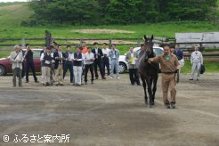 11頭の精鋭がエントリーした平取町軽種馬生産振興会の｢第44回軽種馬1歳育成管理品評会｣