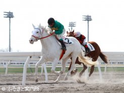 無事に能力検査合格を果たしたハクホウリリー