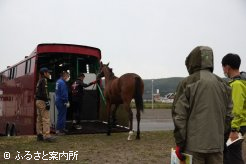 宮崎育成牧場行きの馬運車に乗り込むJRA育成馬
