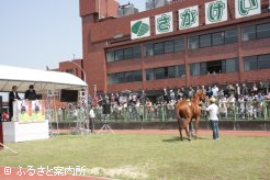 佐賀競馬場で開催した九州トレーニングセール