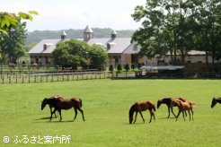 牧場風景