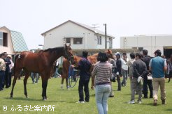 比較展示の様子