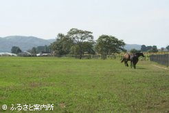 牧場風景～2