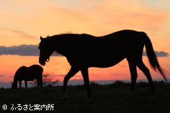 写真５　　[夕景]