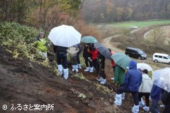牧場内の火山放出物未熟土を視察実習