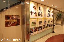 あの馬の近況報告写真展
