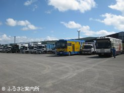 北海道市場の馬積降場に集まった馬運車