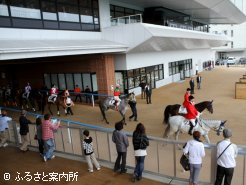 パドックとコースをつなぐ「はなみち」は人気スポットのひとつ
