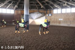 屋内1000m坂路ウッドチップ馬場でトレーニングに励む育成馬