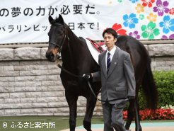 第60代日本ダービー馬ウイニングチケット