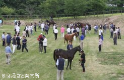会場となった八戸家畜市場には大勢の購買者が足を運んだ