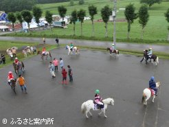 代表決定戦前の輪乗り