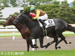 新馬勝ちを決めたコスモシルバード