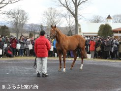 今年、初年度産駒がデビューするアイルハヴアナザー