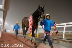 王者の風格が漂う