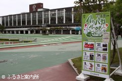 会場となった札幌競馬場