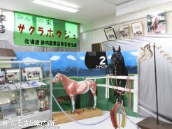 校内にある資料館には、これまでの生産馬の全記録を展示している(同校の学校祭で一般見学可能)