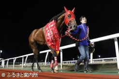 競馬場を渡り歩き、勝ち星を重ねてきた