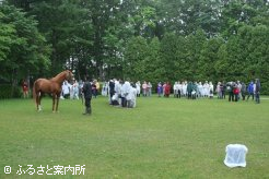 オルフェーヴルとの記念撮影