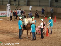障がい者乗馬デモンストレーション