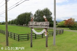 北海道内の主要国道である、国道36号沿いにある白老ファーム