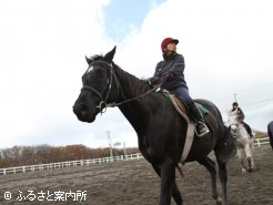 ダート重賞馬マイネルボウノットは2つの競技に出場