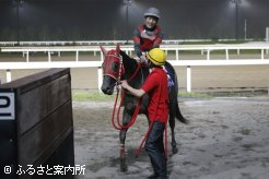 厩舎スタッフと握手を交わす井上幹太騎手