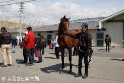 BTC研修生、育成馬ともにはじめての大舞台に緊張気味